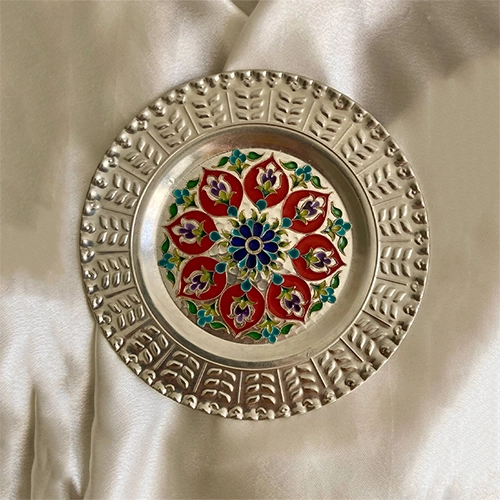مینای خانه بندی
