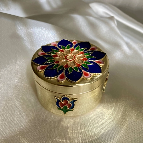 مینای خانه بندی