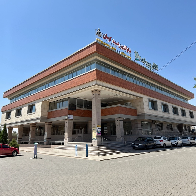 مجتمع آموزشی نیکوکاری رعد کرمان